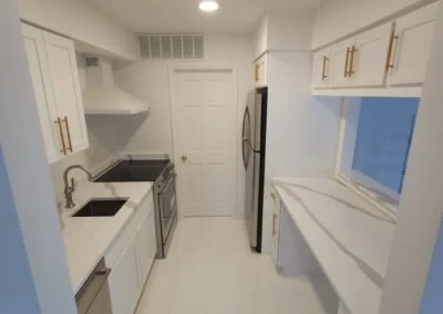Professional House Building