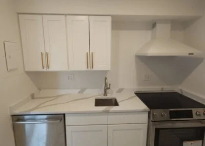 Professional House Building